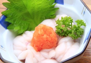 たちぽん